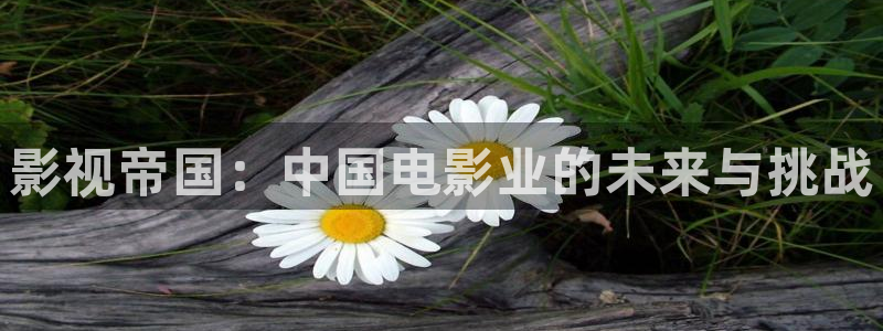 91茄子视频：影视帝国：中国电影业的未来与挑战