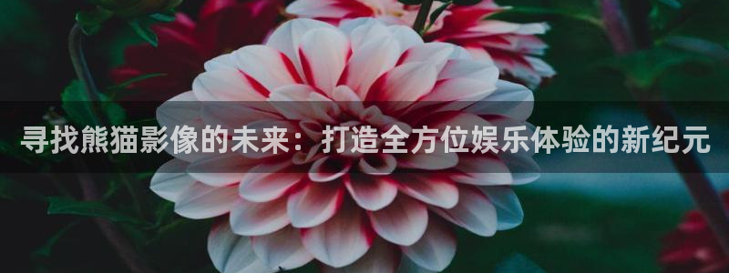 茄子视频视频：寻找熊猫影像的未来：打造全方位娱乐体验的新纪元