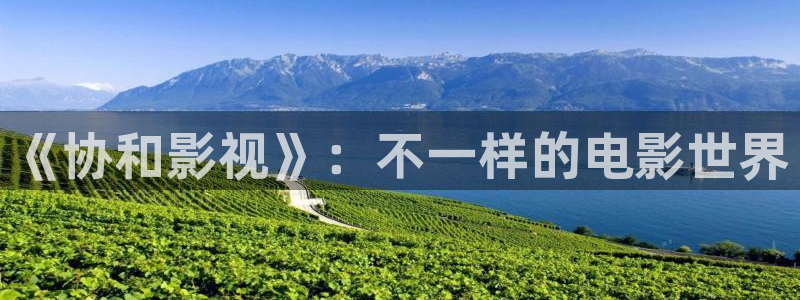 樱桃茄子视频：《协和影视》：不一样的电影世界