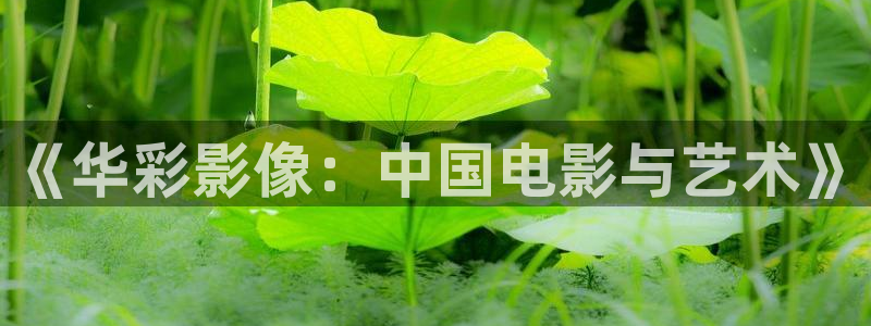 茄子视频 magnet：《华彩影像：中国电影与艺术》
