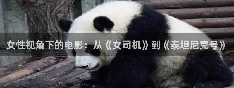 樱花视频茄子视频：女性视角下的电影：从《女司机》到《泰坦尼克号》