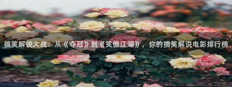 茄子视频 magnet：搞笑解说大战：从《夺冠》到《笑傲江湖》，你的搞笑解说电影排行榜