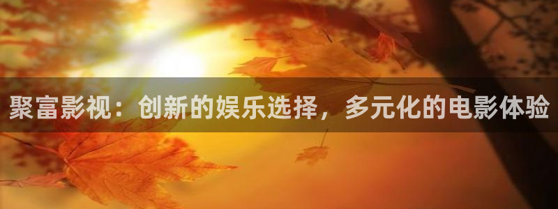 茄子视频www：聚富影视：创新的娱乐选择，多元化的电影体验