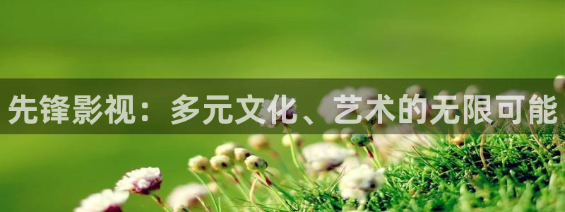 茄子视频?：先锋影视：多元文化、艺术的无限可能