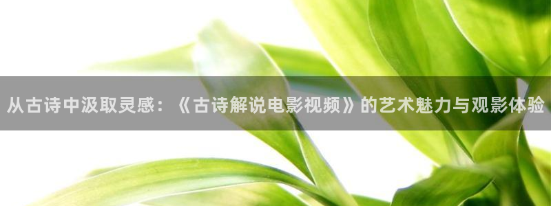 qiezi 茄子视频：从古诗中汲取灵感：《古诗解说电影视频》的艺术魅力与观影体验