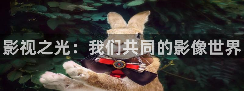 茄子视频www：影视之光：我们共同的影像世界