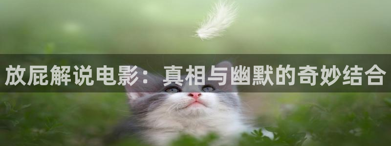 茄子视频一：放屁解说电影：真相与幽默的奇妙结合