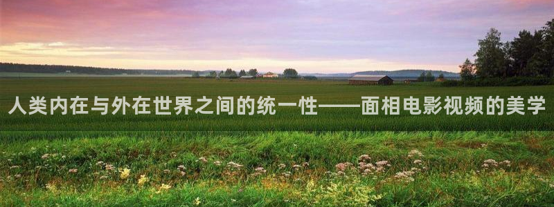 小优视频茄子视频：人类内在与外在世界之间的统一性——面相电影视频的美学