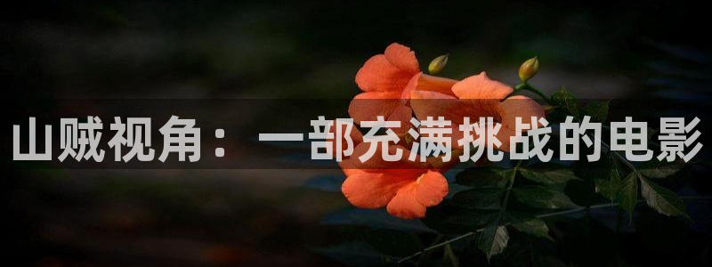 茄子视频a：山贼视角：一部充满挑战的电影