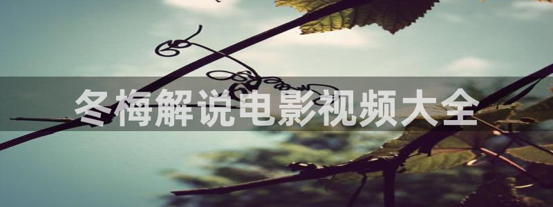 大茄子视频：冬梅解说电影视频大全