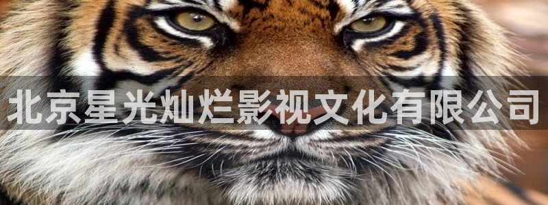 茄子视频a