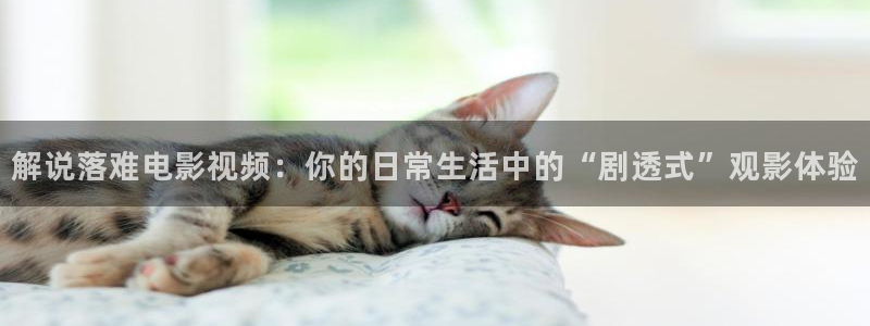 茄子视频 magnet