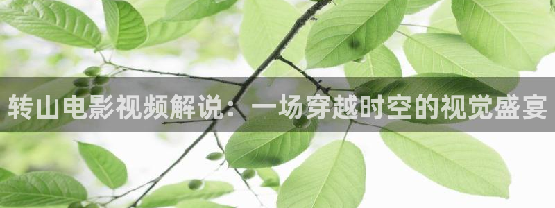 茄子视频?：转山电影视频解说：一场穿越时空的视觉盛宴
