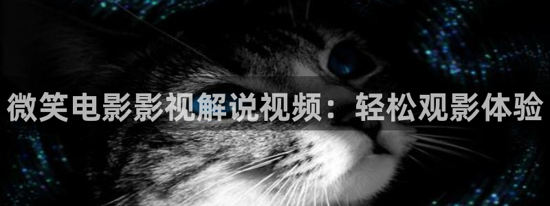 茄子视频了
