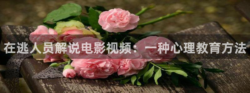 樱桃茄子视频：在逃人员解说电影视频：一种心理教育方法