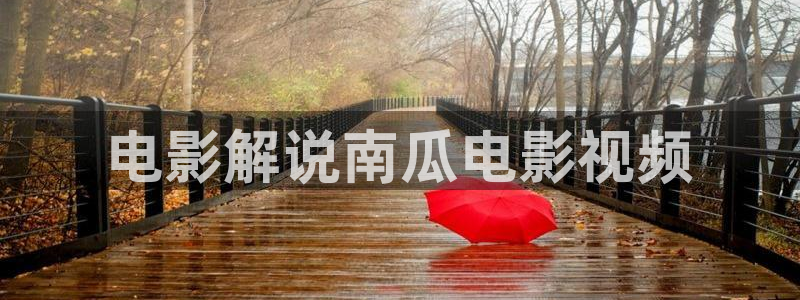 茄子视频 magnet：电影解说南瓜电影视频