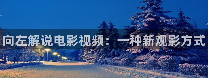 茄子视频：向左解说电影视频：一种新观影方式