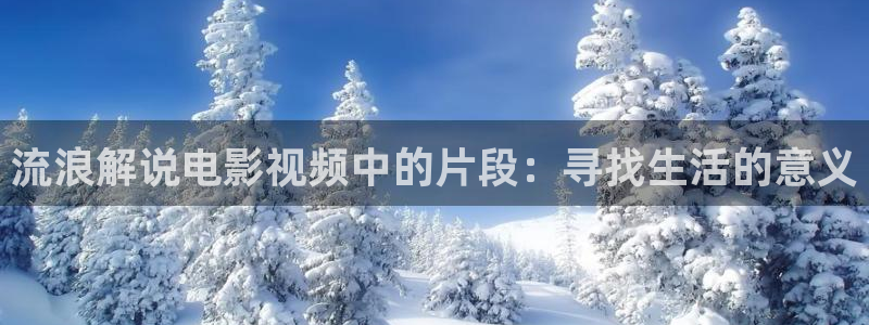 茄子视频了：流浪解说电影视频中的片段：寻找生活的意义