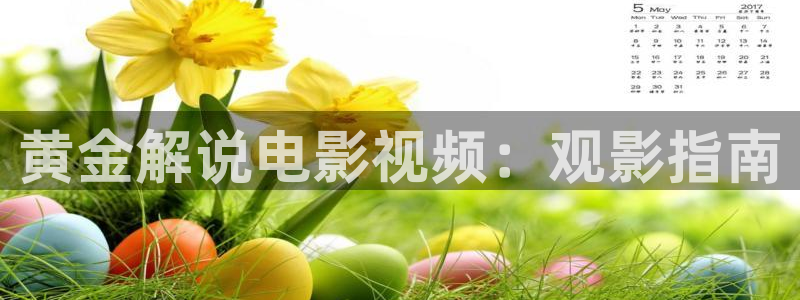 茄子视频视频：黄金解说电影视频：观影指南