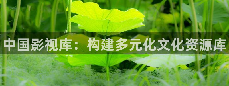 茄子视频一：中国影视库：构建多元化文化资源库
