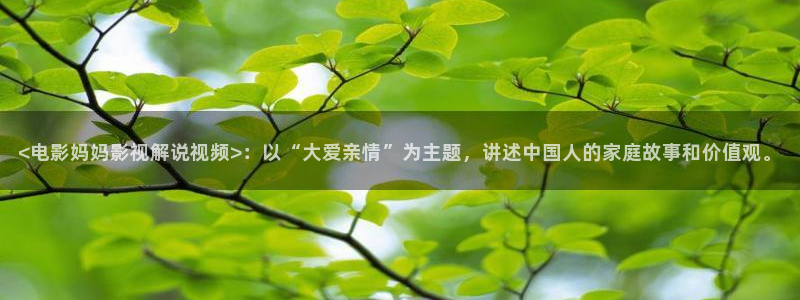 四虎茄子视频：<电影妈妈影视解说视频>：以“大爱亲情”为主题，讲述中国人的家庭故事和价值观。