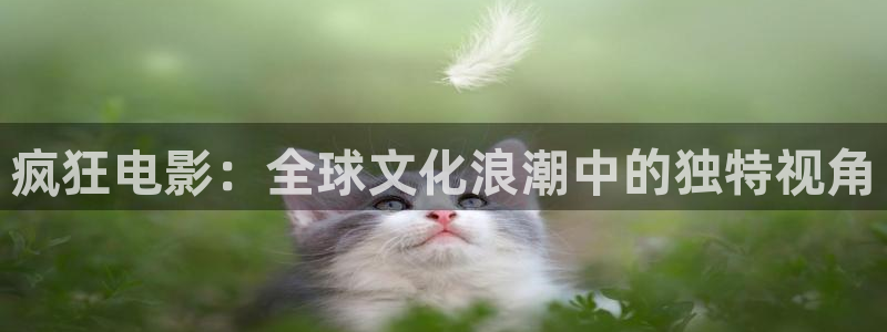 qiezi 茄子视频：疯狂电影：全球文化浪潮中的独特视角