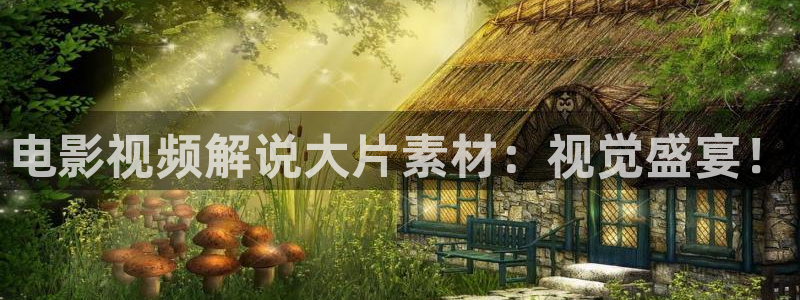 qiezi 茄子视频：电影视频解说大片素材：视觉盛宴！