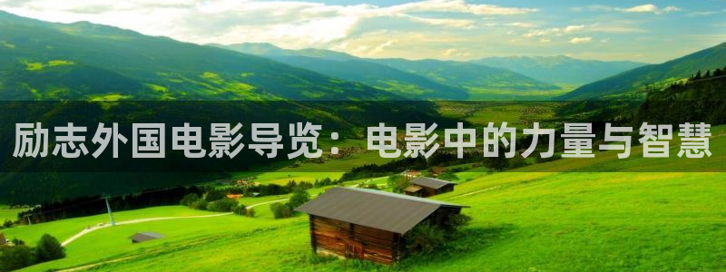 大茄子视频：励志外国电影导览：电影中的力量与智慧