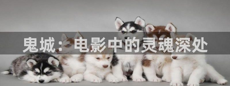 茄子视频无限看丝瓜视频丝瓜视免费观看：鬼城：电影中的灵魂深处