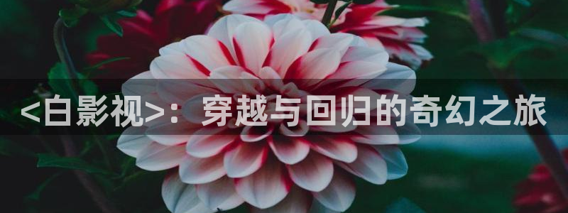 茄子视频一：<白影视>：穿越与回归的奇幻之旅