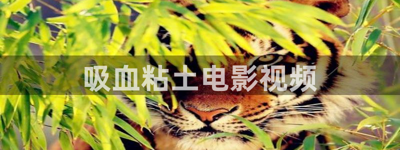 茄子视频 magnet：吸血粘土电影视频