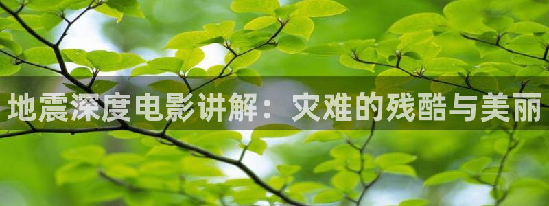 茄子视频qz：地震深度电影讲解：灾难的残酷与美丽