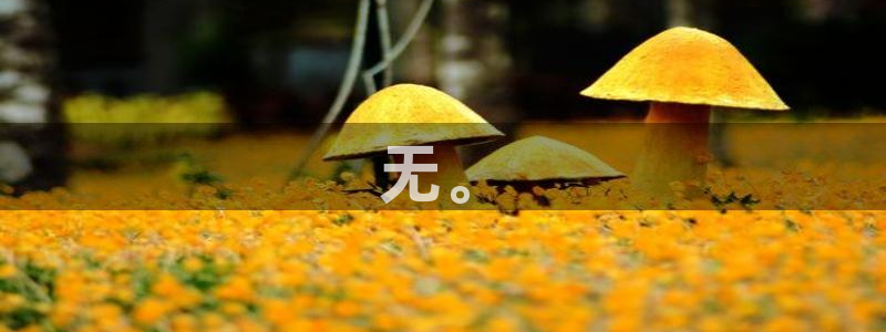 茄子视频 magnet：无。
