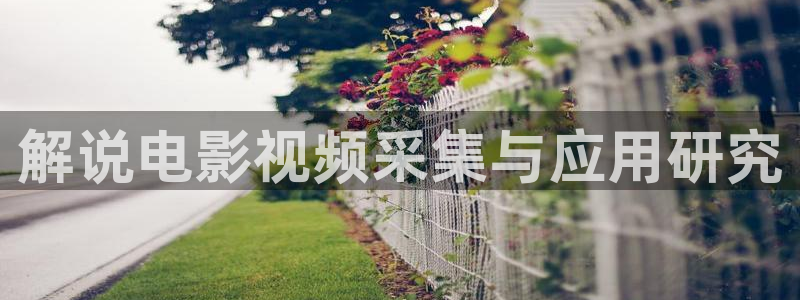 茄子视频18：解说电影视频采集与应用研究