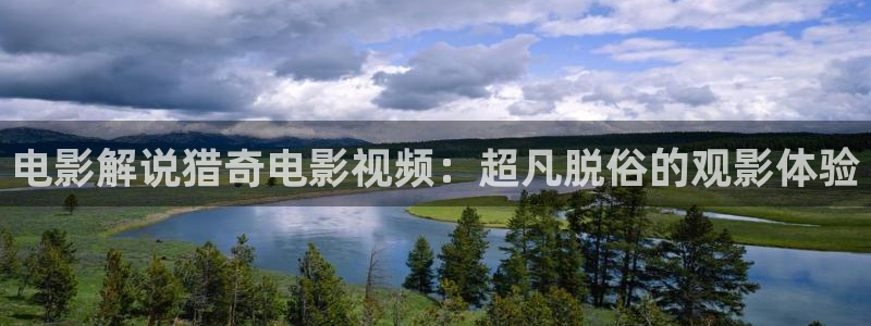 茄子视频视频：电影解说猎奇电影视频：超凡脱俗的观影体验