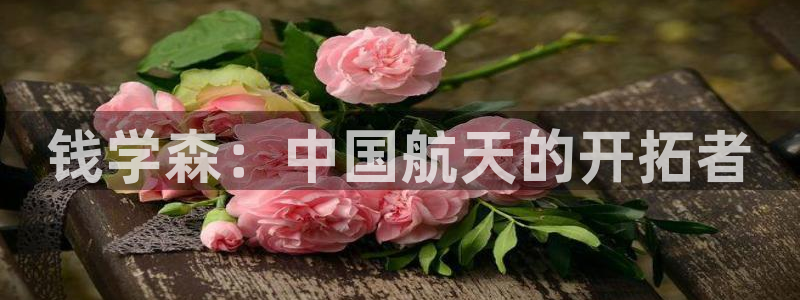 茄子视频qz：钱学森：中国航天的开拓者