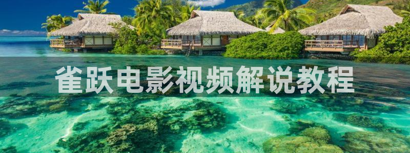 茄子视频a：雀跃电影视频解说教程