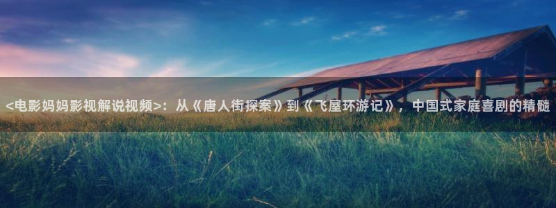 茄子视频了：<电影妈妈影视解说视频>：从《唐人街探案》到《飞屋环游记》，中国式家庭喜剧的精髓