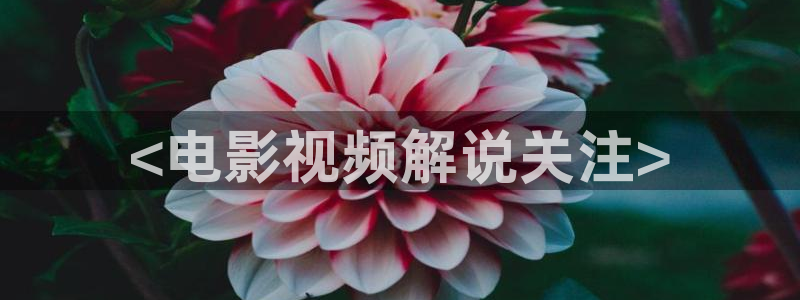 丝瓜茄子视频在线观看：<电影视频解说关注>