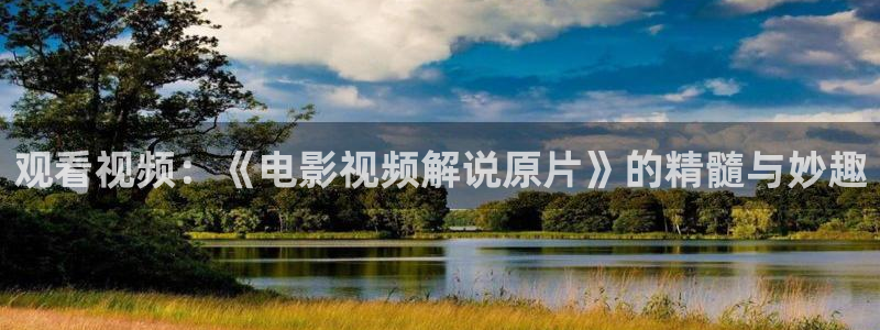 茄子视频视频：观看视频：《电影视频解说原片》的精髓与妙趣