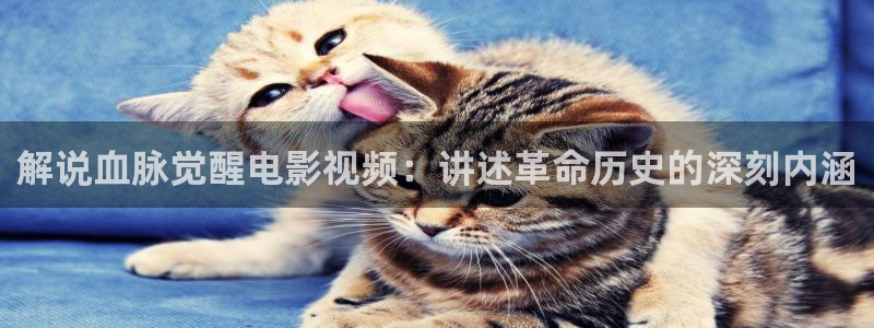 四虎茄子视频：解说血脉觉醒电影视频：讲述革命历史的深刻内涵