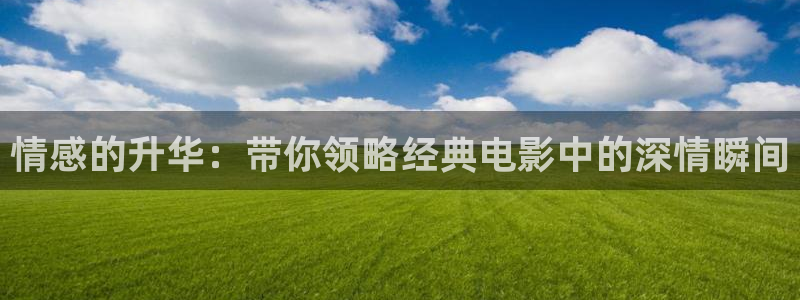 茄子视频a：情感的升华：带你领略经典电影中的深情瞬间