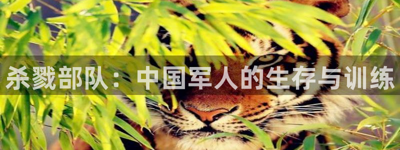 茄子视频 magnet：杀戮部队：中国军人的生存与训练