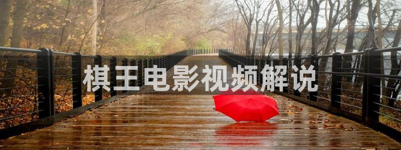 茄子视频视频：棋王电影视频解说