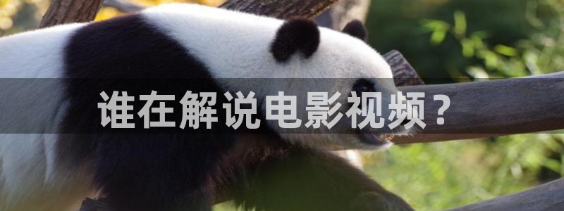 茄子视频qz：谁在解说电影视频？
