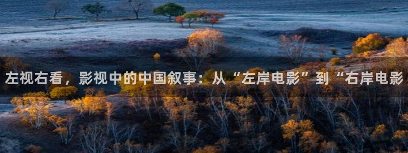 茄子视频www：左视右看，影视中的中国叙事：从“左岸电影”到“右岸电影