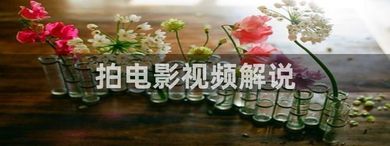 茄子视频了：拍电影视频解说