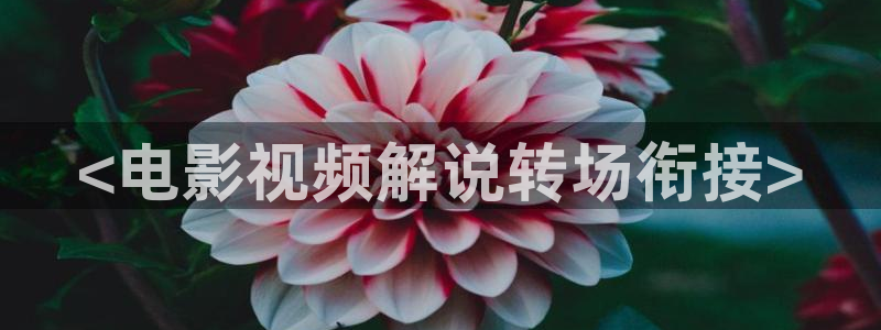 91茄子视频：<电影视频解说转场衔接>