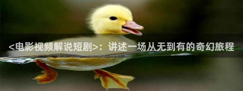 茄子视频a：<电影视频解说短剧>：讲述一场从无到有的奇幻旅程