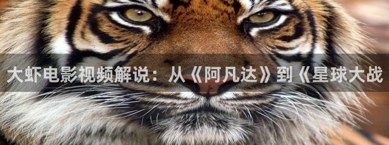 茄子视频无限看丝瓜视频丝瓜视免费观看